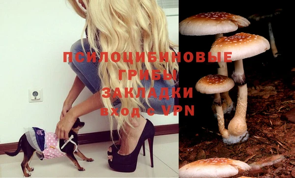альфа пвп Новодвинск