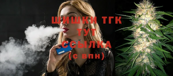 альфа пвп Новодвинск