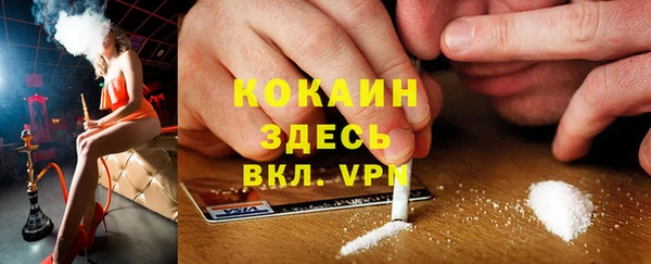 альфа пвп Новодвинск