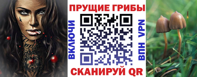 что такое наркотик Холмск Псилоцибиновые грибы прущие грибы